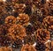 Cinnamon Scented Pinecones Variety 1 lb for Decorating, Over 40 Small Cinnamon Pine Cones for Crafts and Vase Filler Cinnamon Fragrance Pine Cones